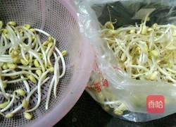 干煸黄豆芽的做法图解1
