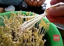 沙培绿豆芽的做法图解7