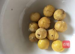 油栗清炖鸡的做法图解7