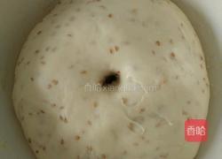 芝麻椰蓉面包的做法图解7