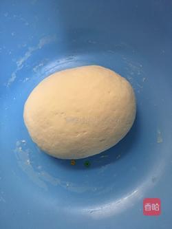 豆角胡萝卜肉包