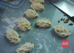 芝麻糖刺猬包的做法图解16