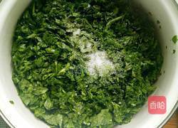 地菜青汁汤水饺的做法图解4