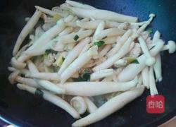 鸡肉炖白玉菇的做法图解5