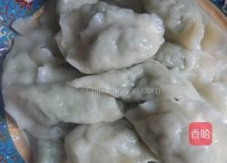 儿童豆角肉水饺（多菜少肉篇的做法图解7