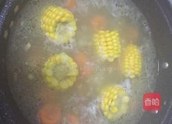 胡萝卜玉米排骨汤的做法图解5