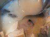 石斑鱼头豆腐汤