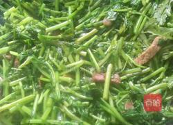 炒茼蒿的做法图解4