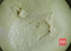 披萨的做法图解4