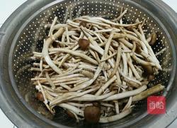 茶树菇烧鸡翅的做法图解2