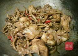 茶树菇烧鸡翅的做法图解10