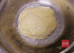 玉米小馒头的做法图解5
