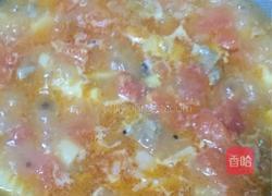 西红柿炖牛腩的做法图解9
