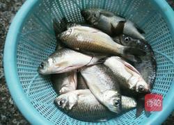 小鲫鱼焖萝卜的做法图解1