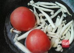 番茄白玉菇炖驴肉的做法图解2