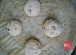 红枣玉米馒头的做法图解15