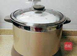 木瓜炖牛奶的做法图解6
