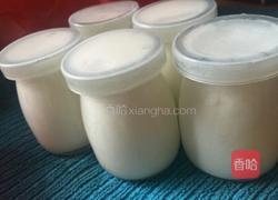 双皮奶的做法图解10