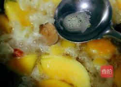 青木瓜雪耳糖水的做法图解8