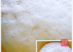 萝卜粉条素包的做法图解11