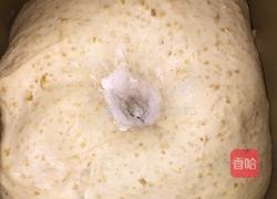 皮塔饼的做法图解2