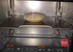 皮塔饼的做法图解6