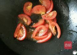 西红柿煮白菜的做法图解4