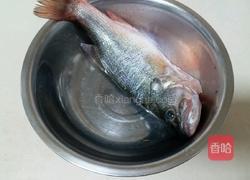 清蒸鲈鱼的做法图解1