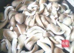 平菇炒鸡蛋的做法图解3