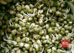 绿豆芽的做法图解3