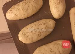 热狗面包（波兰种）的做法图解11
