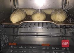 热狗面包（波兰种）的做法图解12