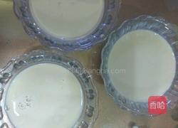 炼乳鸡蛋布丁的做法图解6