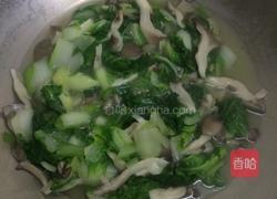 青菜炒菇的做法图解8