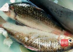 鲫鱼豆芽汤的做法图解1
