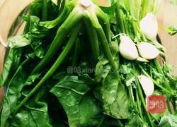 香波菜墩的做法图解1