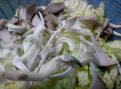 腐竹的家常做法腐竹炒白菜 MjUwX2MxXzA