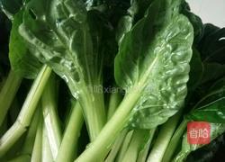 清炒青菜的做法图解2