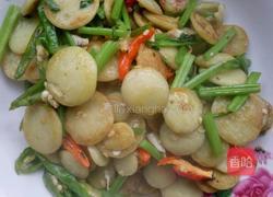 素炒绿豆饼的做法图解6