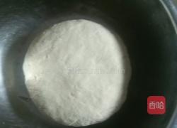 黄蒜苗（韭黄）肉馅饺子（家常蒸饺）的做法图解4