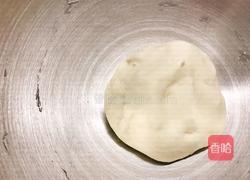 青菜猪肉煎饺的做法图解4