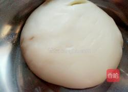 香葱油渣饼的做法图解1