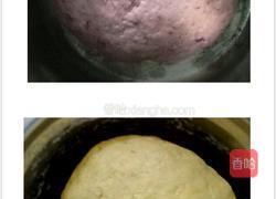 双色玫瑰馒头的做法图解7