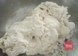 荠菜肉蒸包的做法图解2