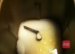 毛毛虫面包的做法图解1