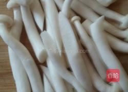 炒海鲜菇胡萝卜绿豆芽的做法图解1