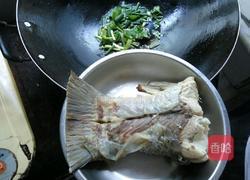 红枣枸杞鱼尾汤的做法图解8