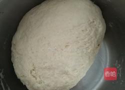 韭菜素包子的做法图解2