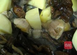 土豆蘑菇炖鸡的做法图解11