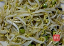 炒豆芽的做法图解7